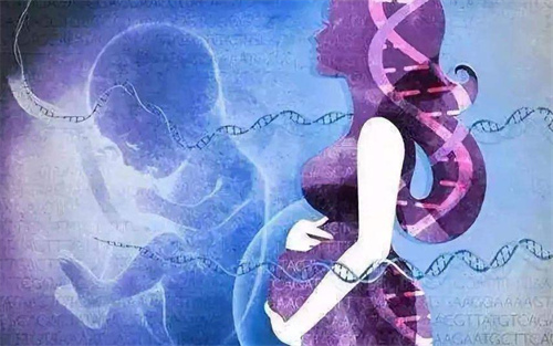 卵巢早衰試管一次成功的概率低？多周期累積活產率才是關鍵